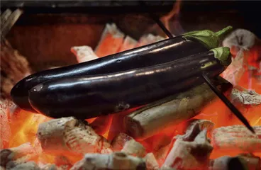 Kebap：世界上最棒的烤肉8