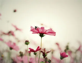 好消息·坏消息（982）1