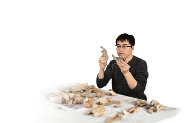 狗从哪里来？1