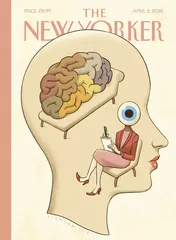 环球要刊速览（981）3