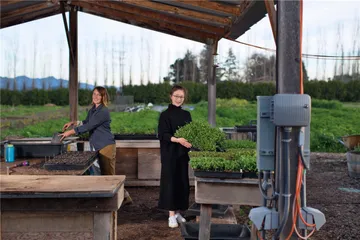 三个中国女孩：闯荡加州厨房