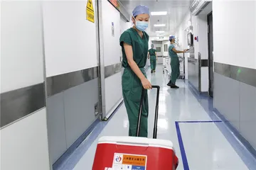 器官捐献：一场生命的接力与延续