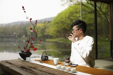 龙井茶境：山、水与禅之间