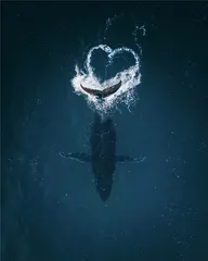 天下（977）1