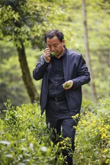 寻找徽州茶：茶汤中的人情与礼节3
