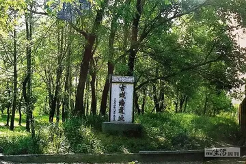 卷土重来的罗刹