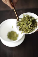春茶是不是越早越好？