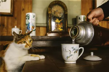 饮茶十宜