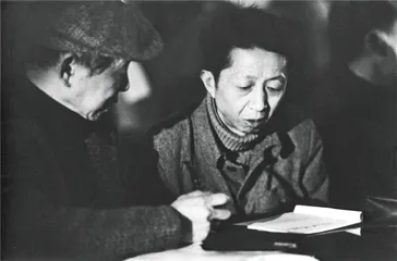 蒲公英的岁月：余光中与那一代乡愁3