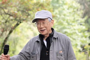 “乡愁”之前：“西潮”与“后土”之间2