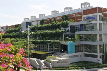 蛇口：一个企业与城市的生长2