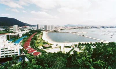 蛇口：一个企业与城市的生长8