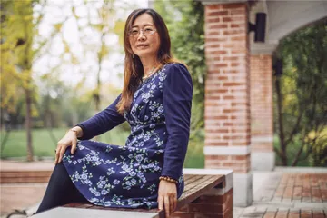 网络IP，依然是网剧的大拐杖