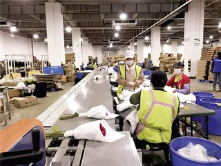 “一个人”经济：为悦己而消费3