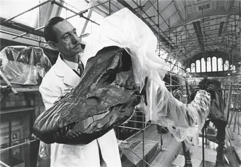 自然历史博物馆：万物殿堂4