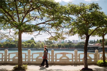 西南联大：国难当头，知识分子的选择