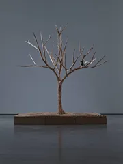 艾敬，界限与自由13
