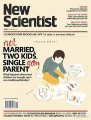 环球要刊速览（966）3