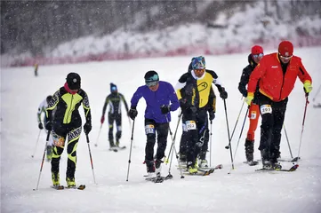 山在哪儿，雪在哪儿，快乐也在哪儿