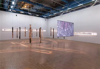 一顿以杜尚之名的午餐3