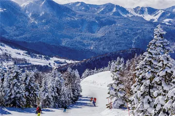 在长野穿越“林海雪原”2