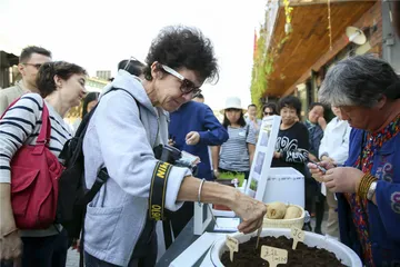 大数据里，寻找旧城更新的密码