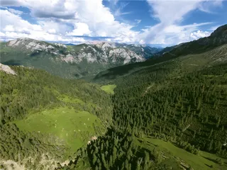 在山间寻找雪豹6