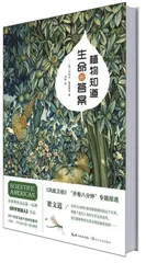 哲学植物的前世今生4