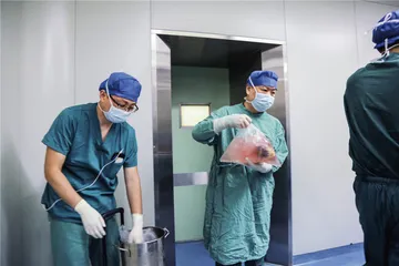 心脏移植：直面死神的生命接力2