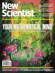 环球要刊速览（953）4