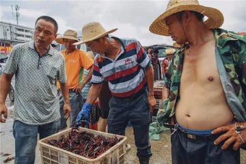 裸妆和素颜：武汉小龙虾的两张面孔