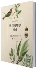 一座让人着迷了300年的英国村庄5