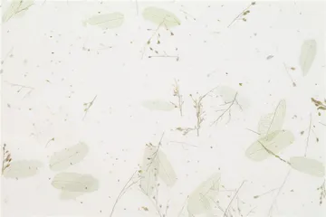 物2