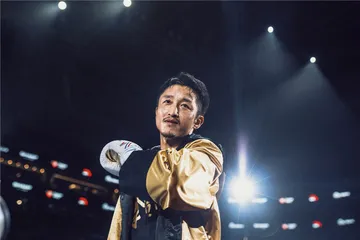 迟暮英雄邹市明