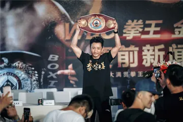 迟暮英雄邹市明2