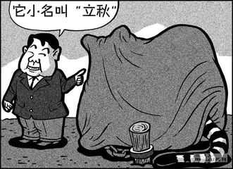 声音（949）