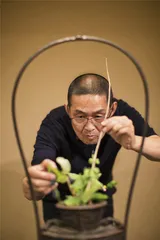 四季花传书：川濑敏郎的花道“侘寂学”