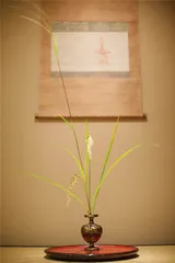 四季花传书：川濑敏郎的花道“侘寂学”1