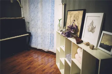 投放一张床，在城市巨洞2