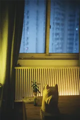 投放一张床，在城市巨洞4