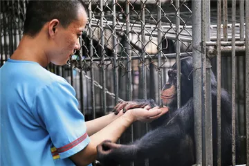 广州动物园关停马戏团表演：动物伦理的新旧之争