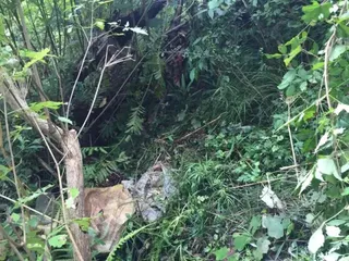 姚常凤：沉默的杀人犯3