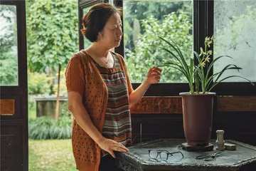 结庐在人境：远与近的城市园林11