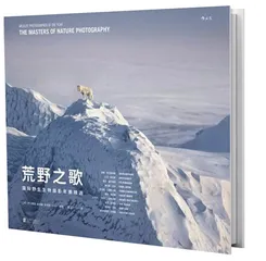 如何阅读一片森林3