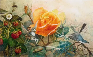 安徒生国际插画展，你看到了什么？2