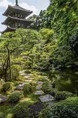 奈良若只如初见