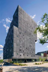 大卫·阿加耶和建筑政治学3
