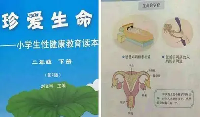 我们该如何与孩子谈性1