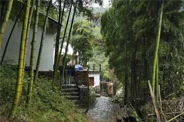 莫干山：民宿先行者9