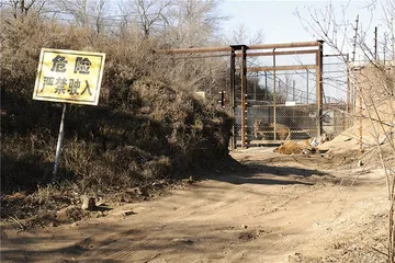被老虎咬伤之后2